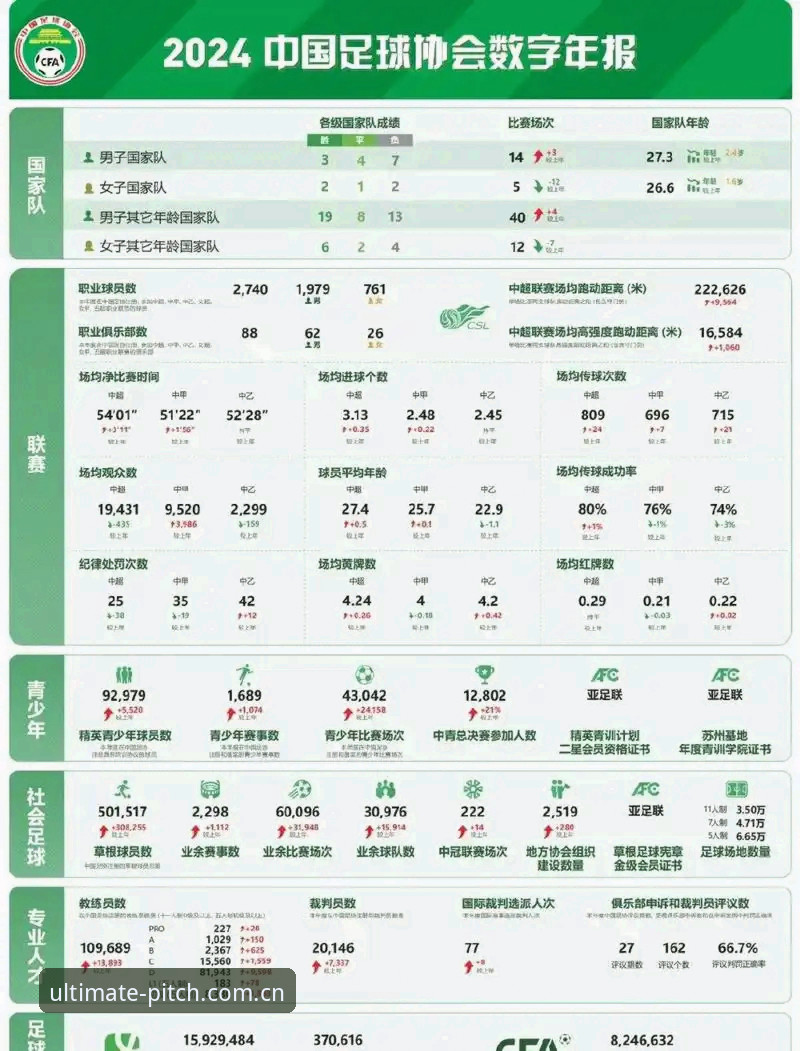完美体育怎么注册iOS版 中国足协第三批禁足名单深度解析:从17人终身禁赛看足球反腐风暴